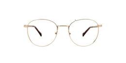 Clearly Glasses HARPALYKE
