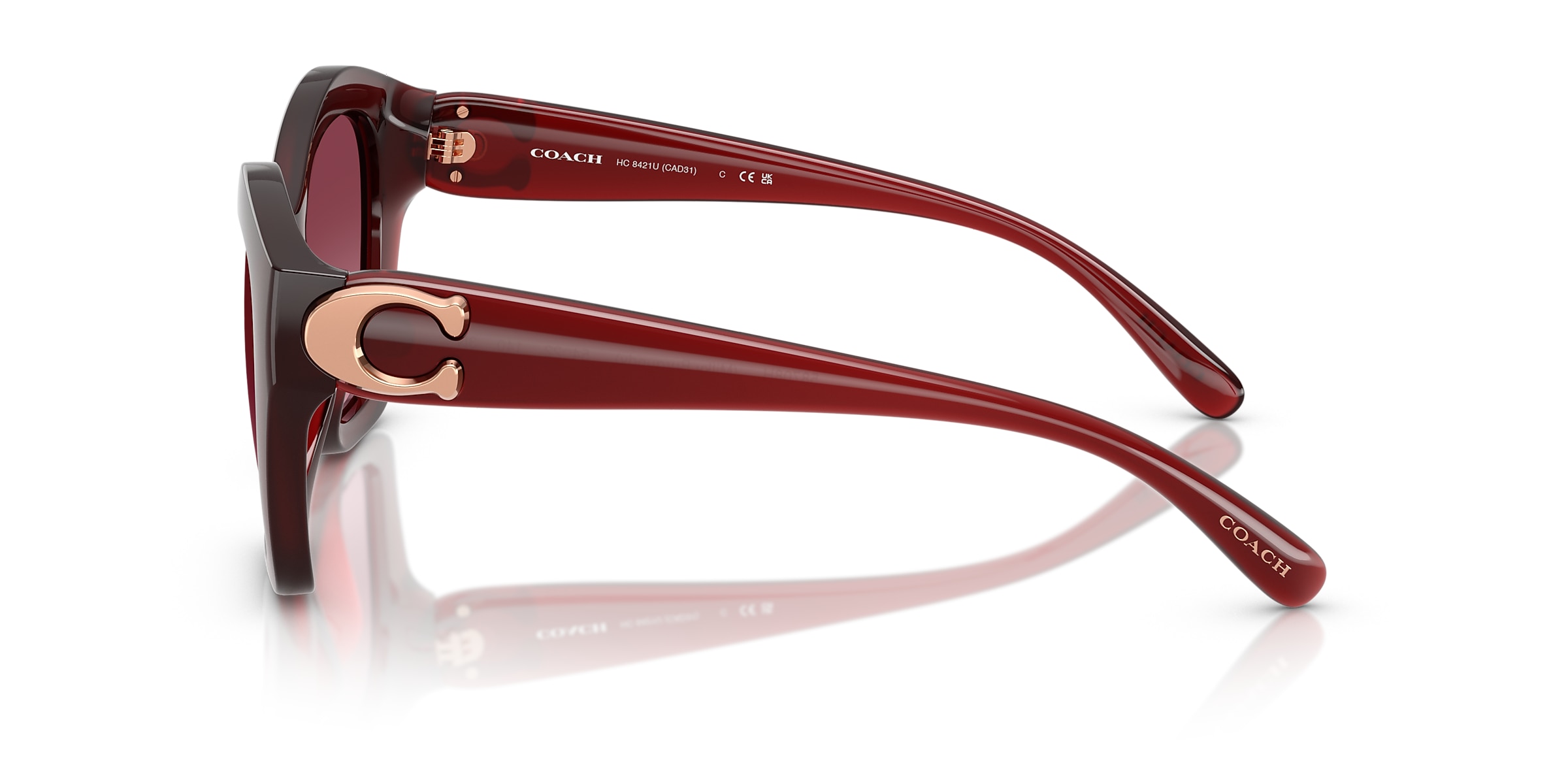 Coach Sunglasses HC8421U CAD31