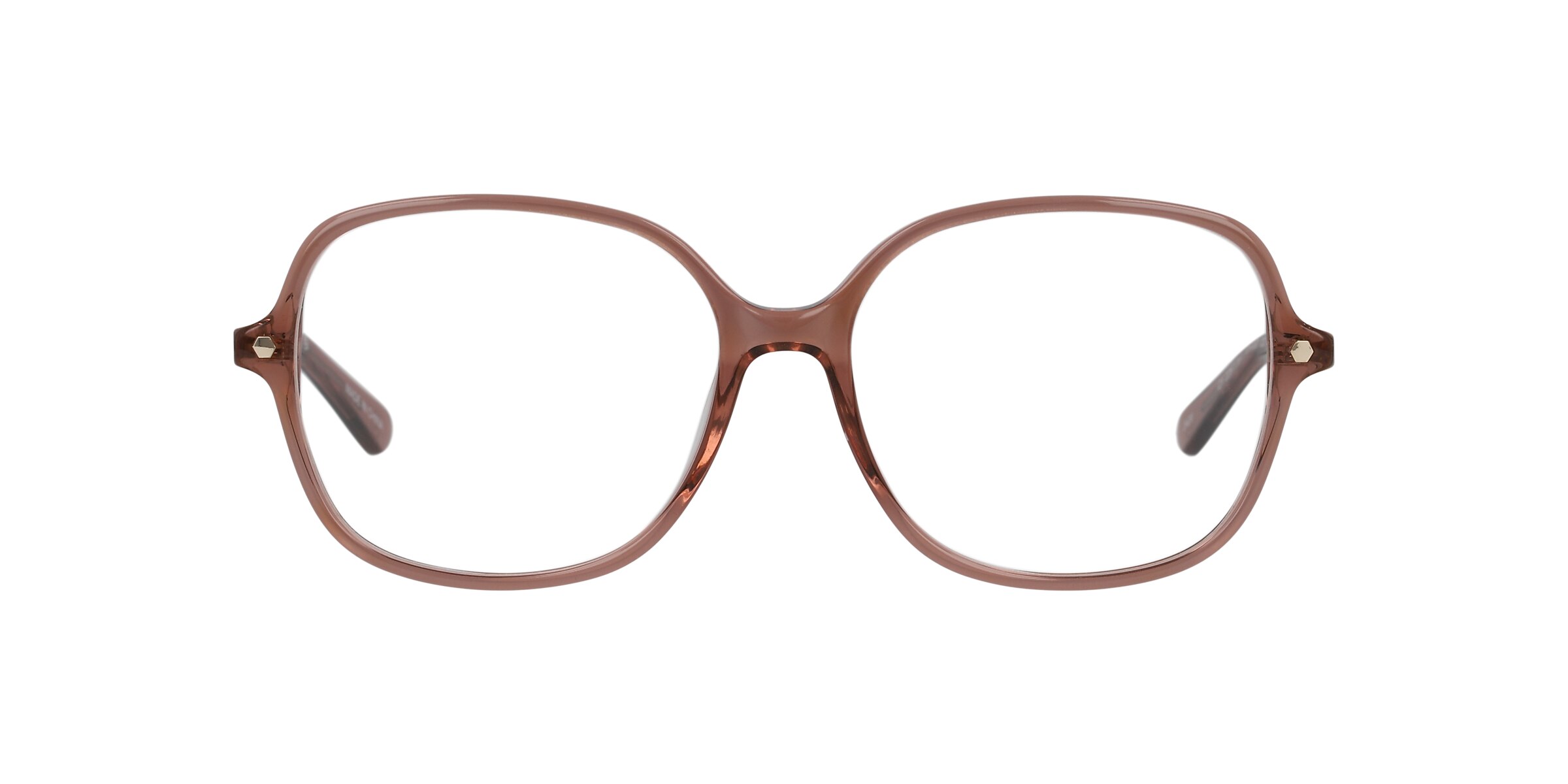 Clearly Glasses ELEPHANT