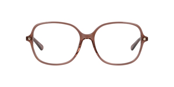 Clearly Glasses ELEPHANT