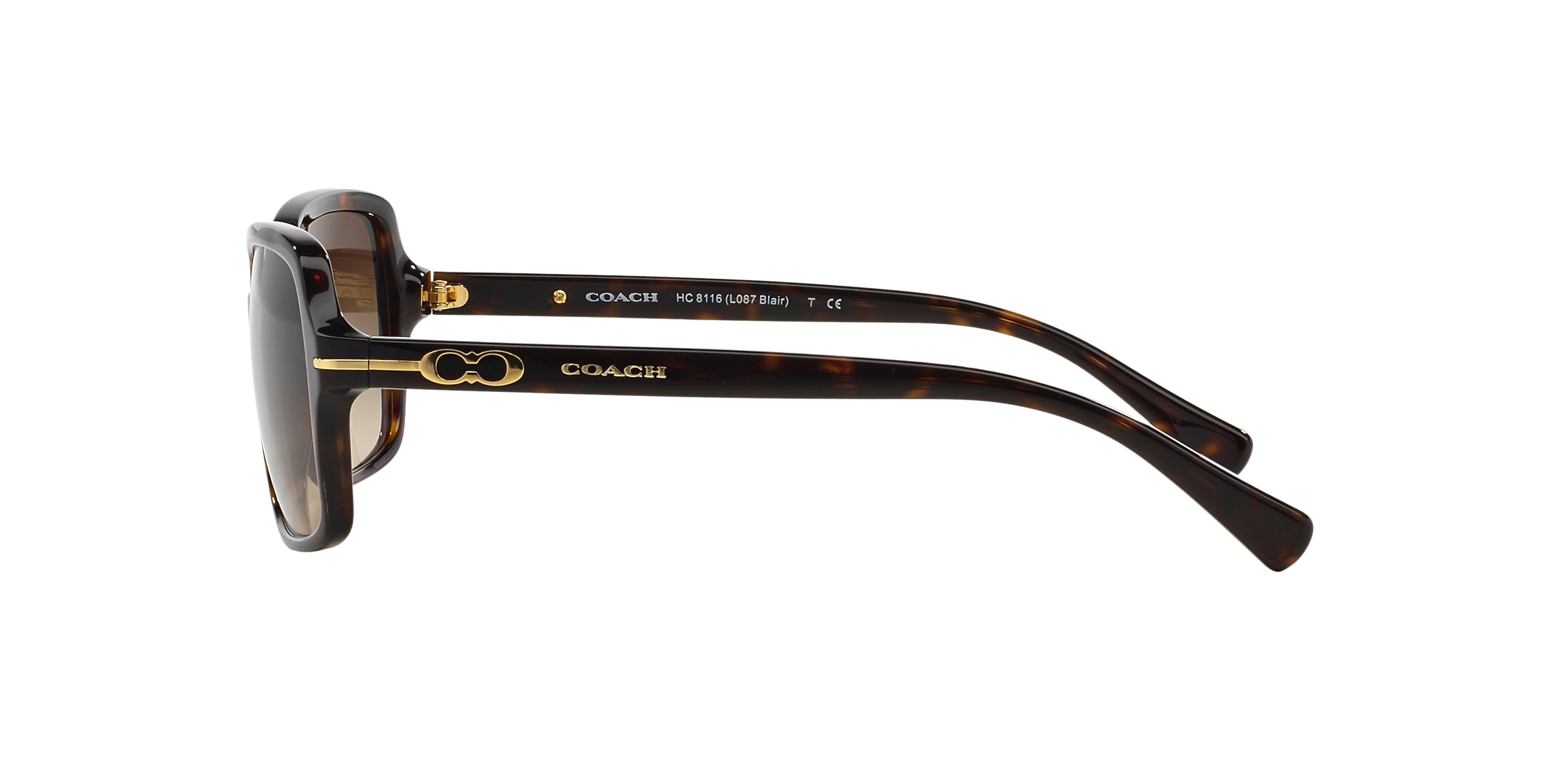 Coach Sunglasses HC8116 L087 BLAIR