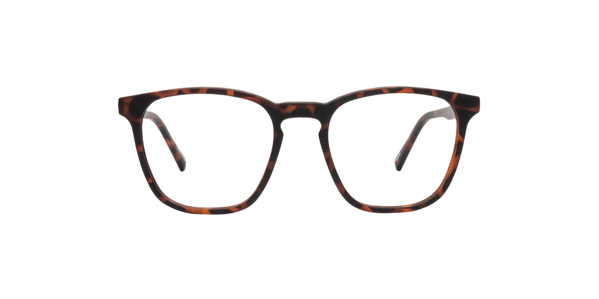 Clearly PITTA Tortoise, Size: XS