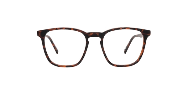 Clearly Glasses PITTA