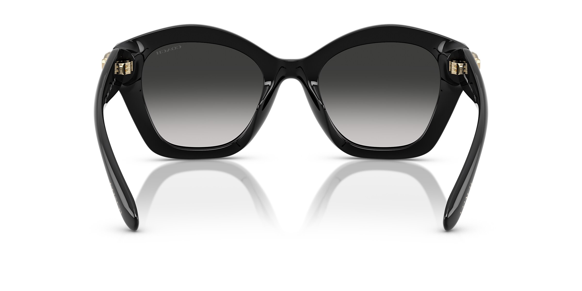 Coach Sunglasses HC8421U CAD31