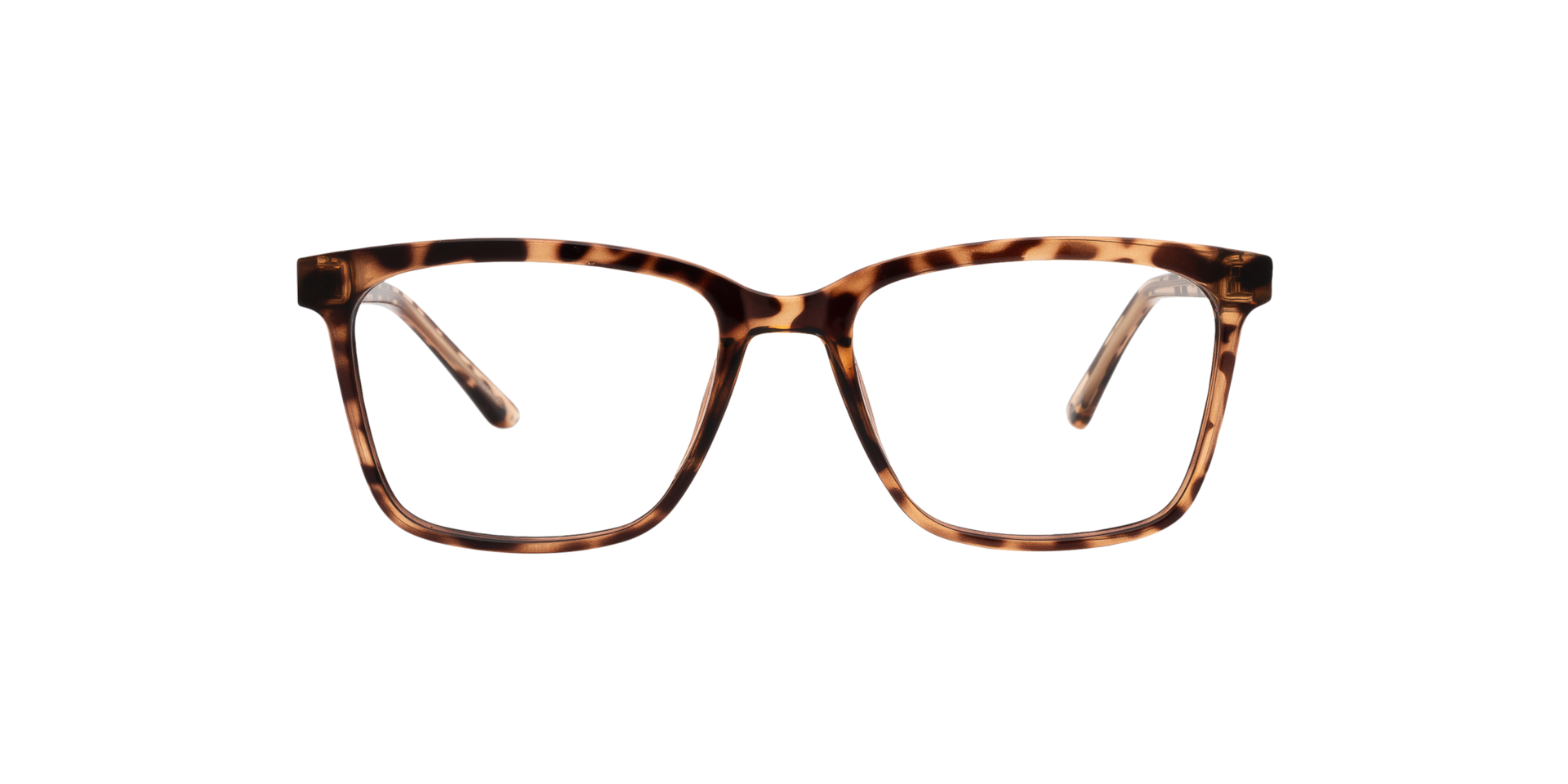 Clearly BURIN Tortoise, Size: XS