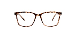 Clearly Glasses BURIN