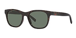 Gucci Sunglasses GG1985S