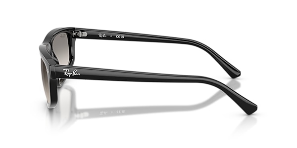 Ray-Ban Sunglasses RB2225
