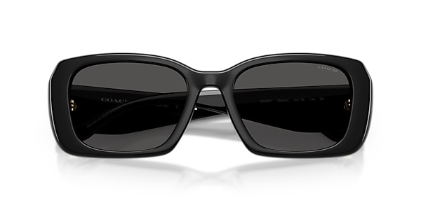 Coach Sunglasses HC8435U CBY82