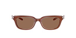 Diesel Sunglasses DL3013U