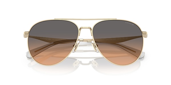 HC7169 CW193