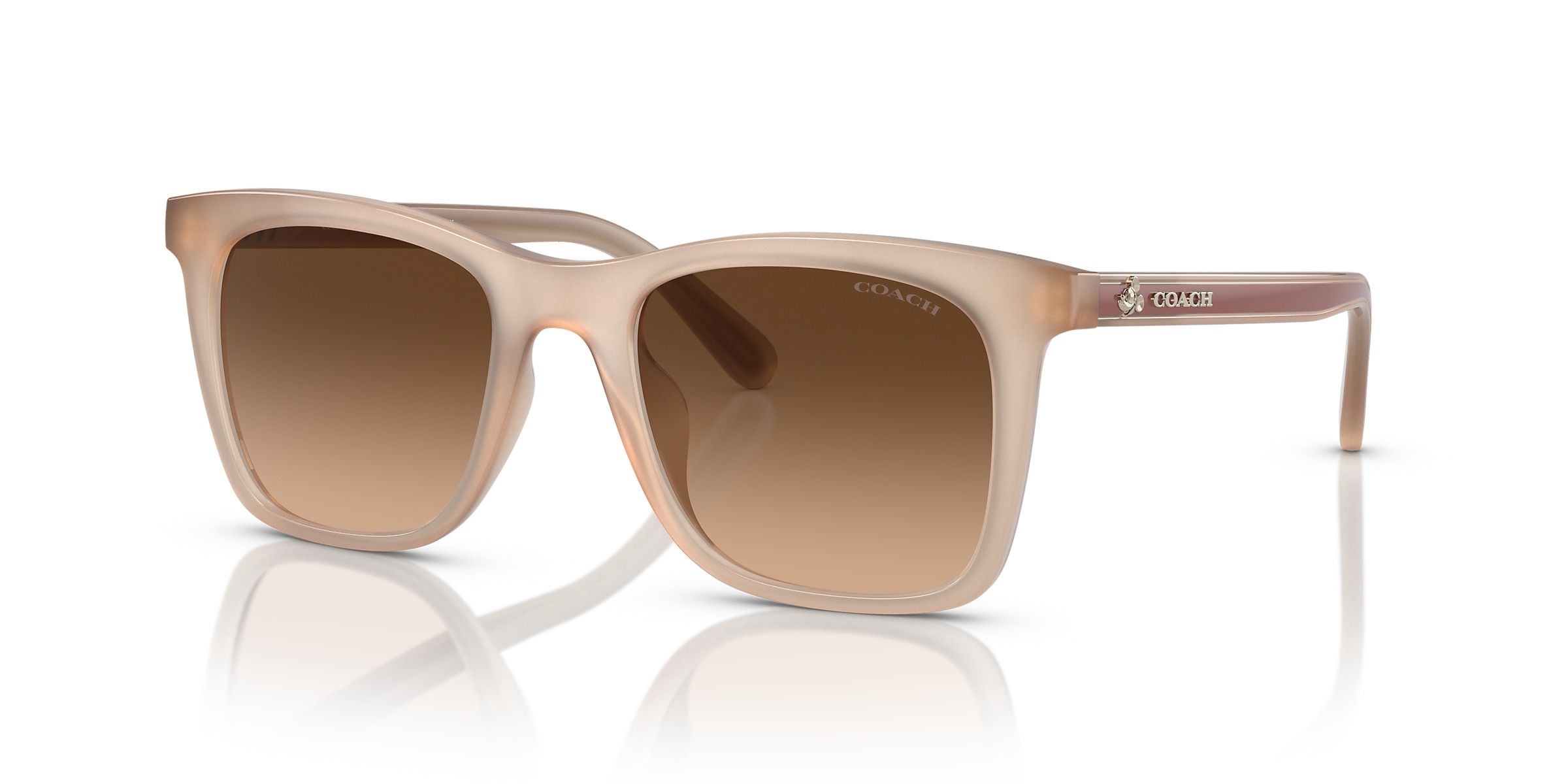 Coach Sunglasses HC8374U CH561