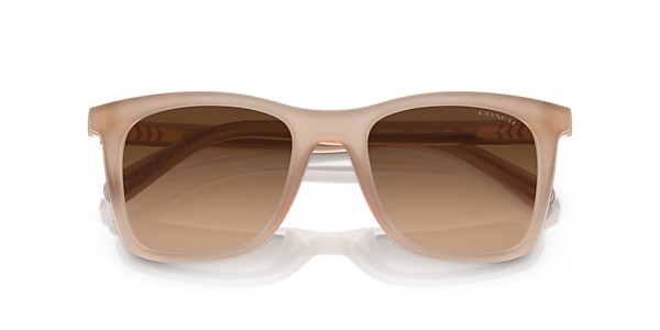 Coach Sunglasses HC8374U CH561