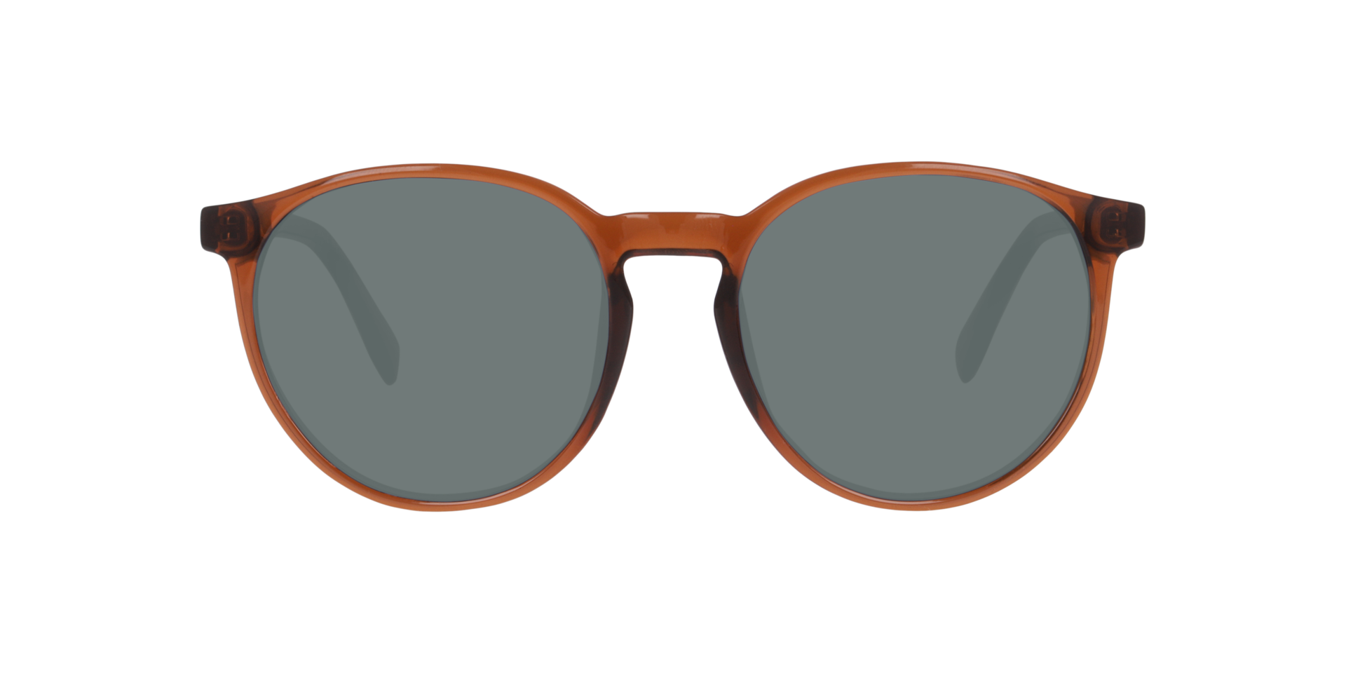 Clearly TELEMAIN Transparent Dark Brown, Size: S