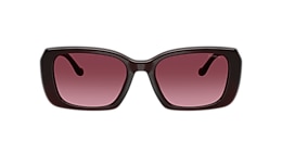 Coach Sunglasses HC8435U CBY82