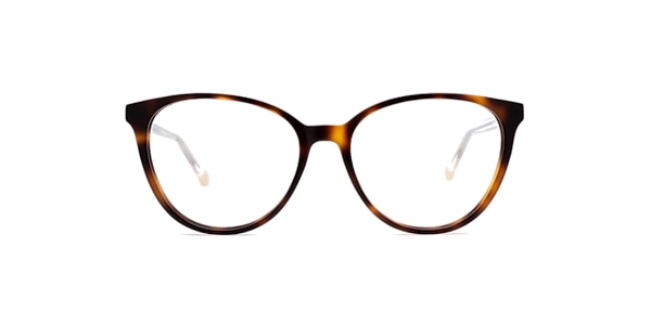 Clearly Glasses SPRUCE