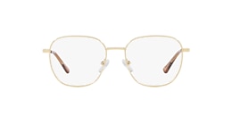 Clearly Glasses BARKERVILLE