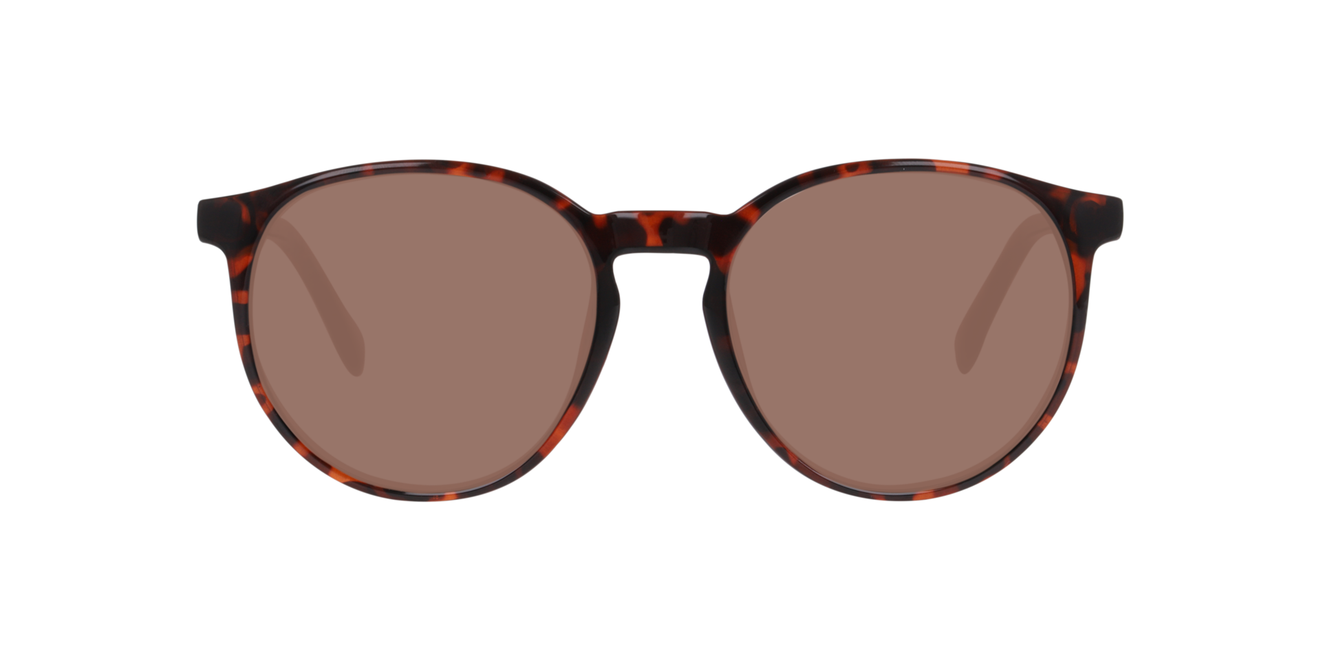 Clearly TELEMAIN Havana Brown, Size: S
